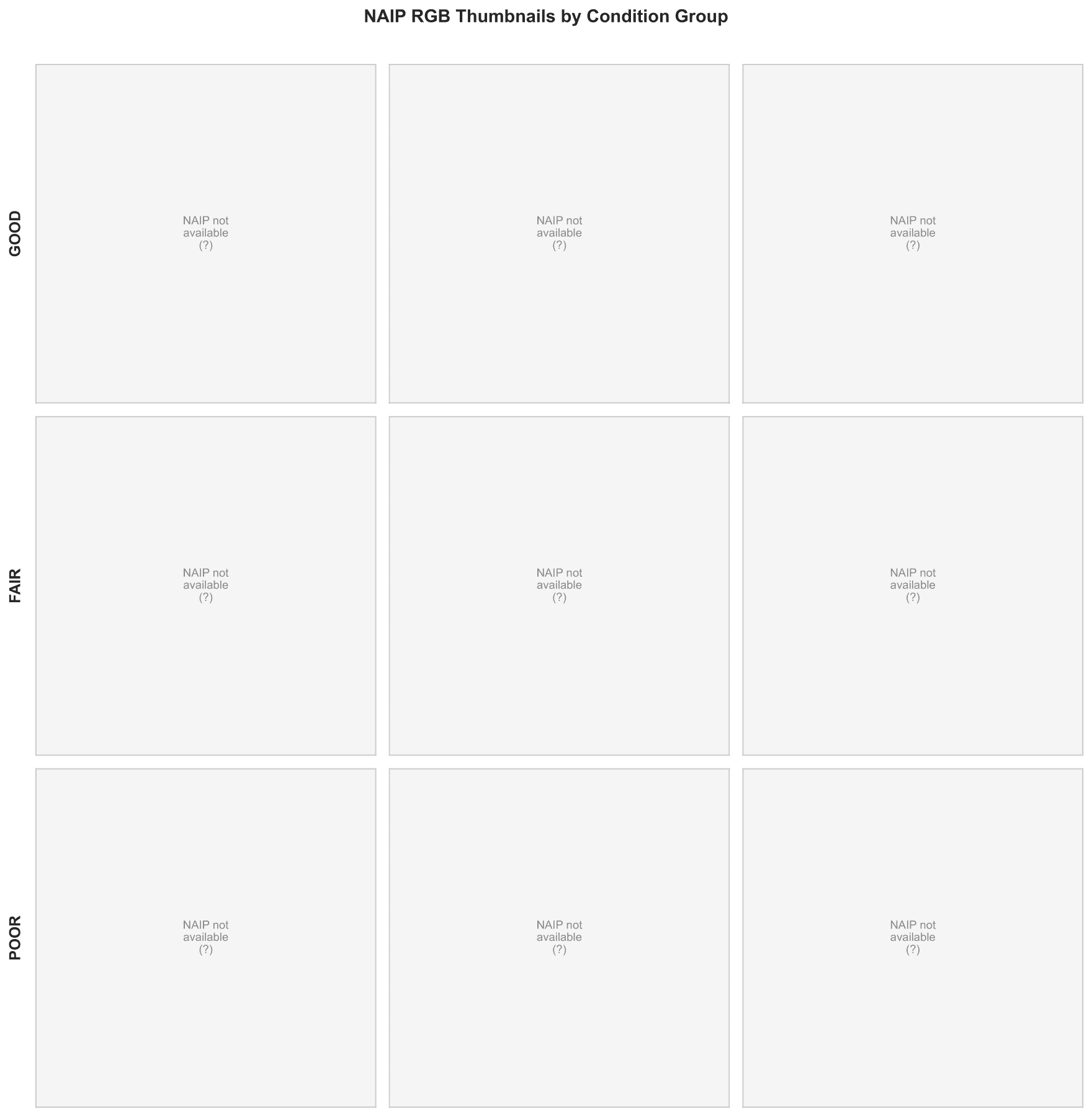 Fig Naip Examples preview from bridge infrastructure monitoring